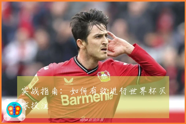 实战指南：如何有效进行世界杯买球投注