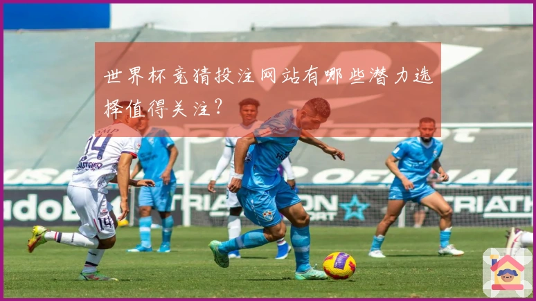 世界杯竞猜投注网站有哪些潜力选择值得关注？