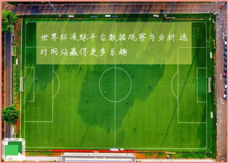世界杯滚球平台数据观察与分析 选对网站赢得更多乐趣